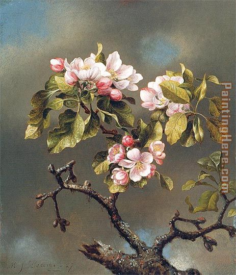 Branch of Apple Blossoms against a Cloudy Sky painting - Martin Johnson Heade Branch of Apple Blossoms against a Cloudy Sky art painting